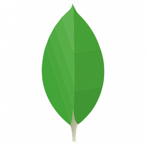 Ayou For ItSolutions 32 MongoDB