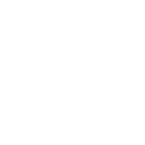 Ayou For ItSolutions 29 iOS