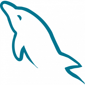Ayou For ItSolutions 28 MySQL