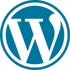 Ayou For ItSolutions 38 WordPress